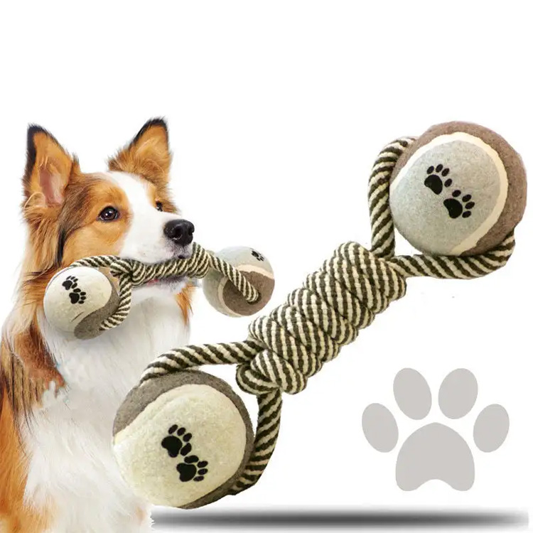Adakah anjing mengunyah sihat untuk anjing?
