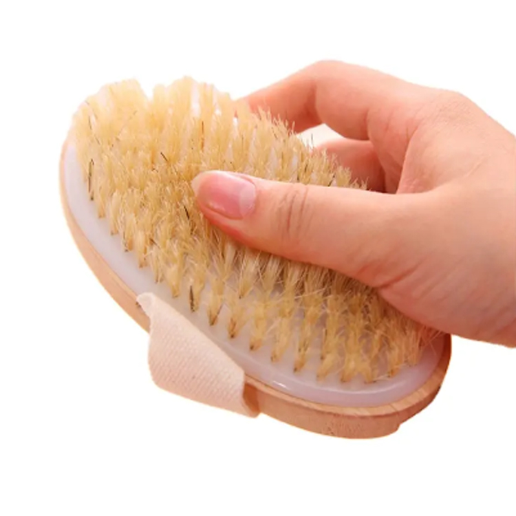 Harga murah Reka bentuk baru Lembung Kayu Body Bristle