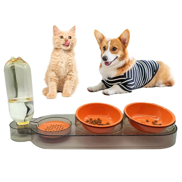Reka bentuk profesional kucing makanan makanan makanan mangkuk mangkuk haiwan peliharaan