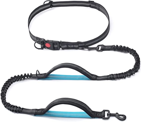 Reflektif Dual Padded Bungee Running Hands Free Dog Leash